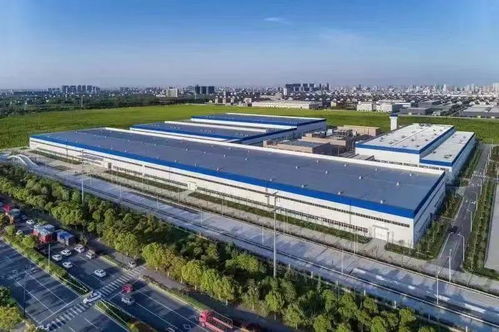 這2家桐企,全球標(biāo)桿